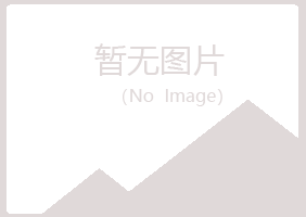 庆阳西峰盼夏建设有限公司